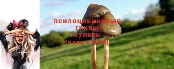 метадон Бородино