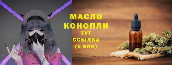 молекула духа Кинешма