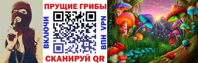 Псилоцибиновые грибы Magic Shrooms  ссылка на мегу вход  Дигора 
