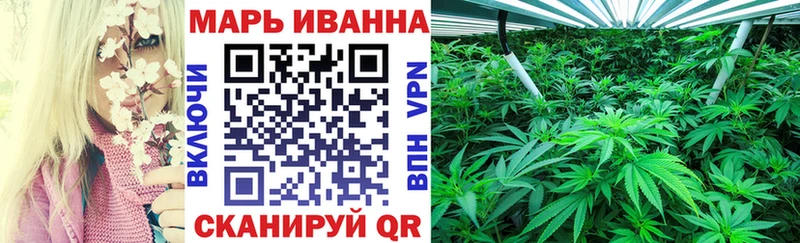 Конопля гибрид  Дигора 